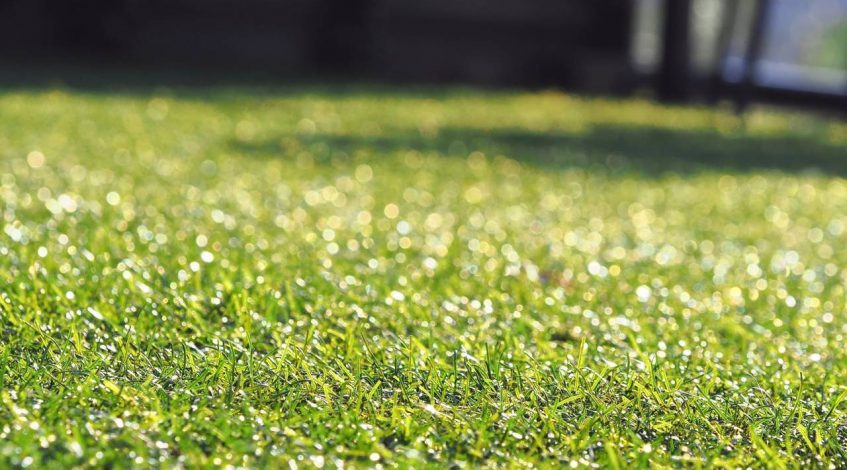 Reforma Jardin Madrid Cesped artificial