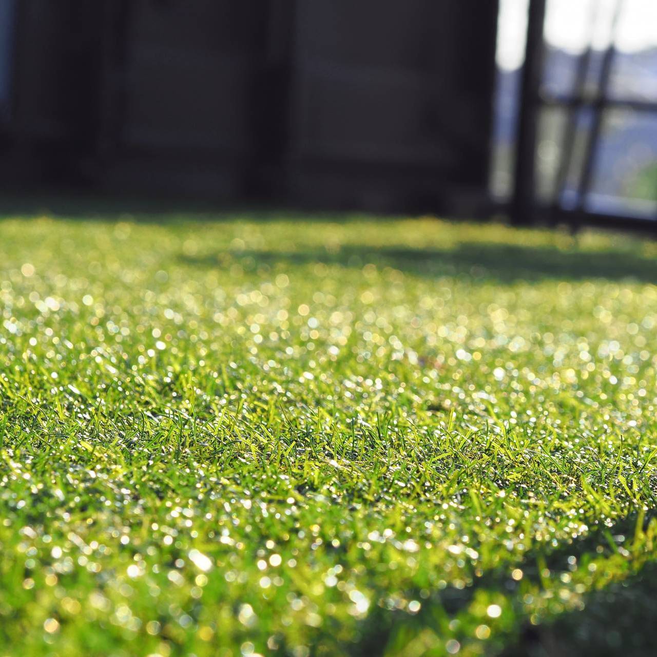 Reforma Jardin Madrid Cesped artificial